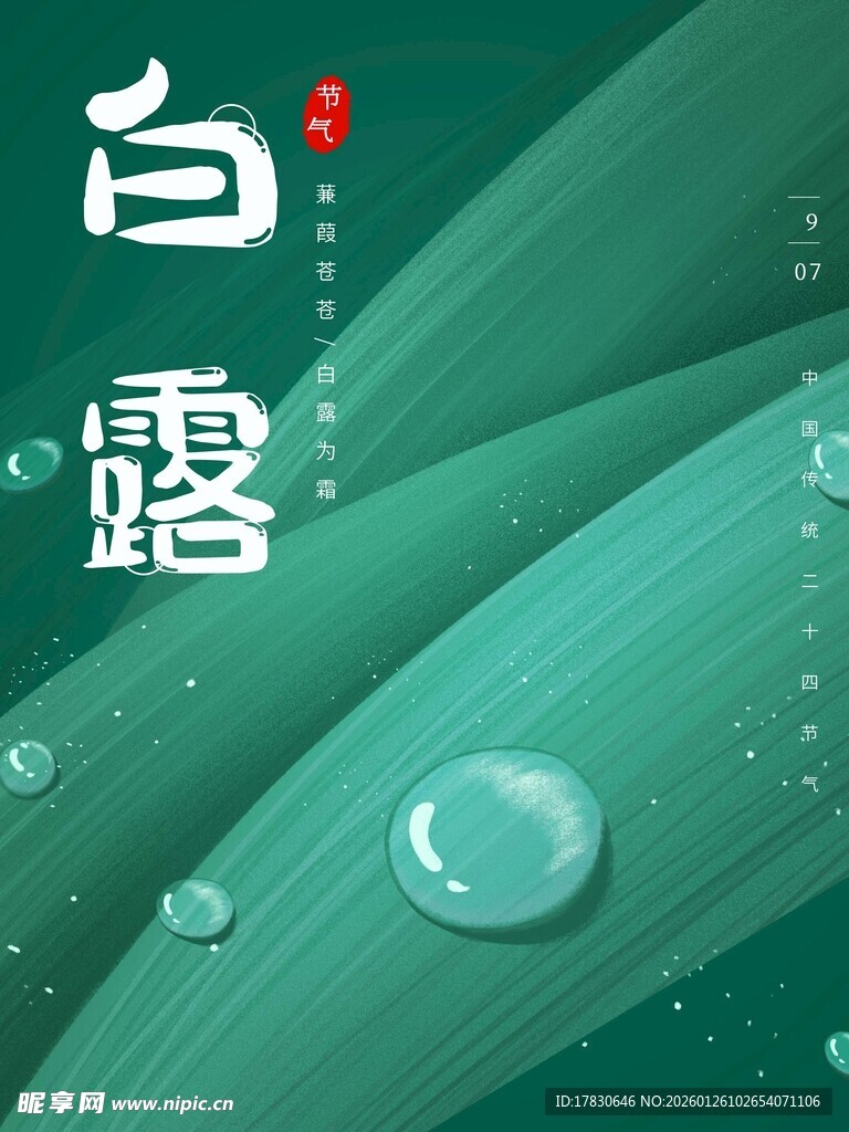 白露海报