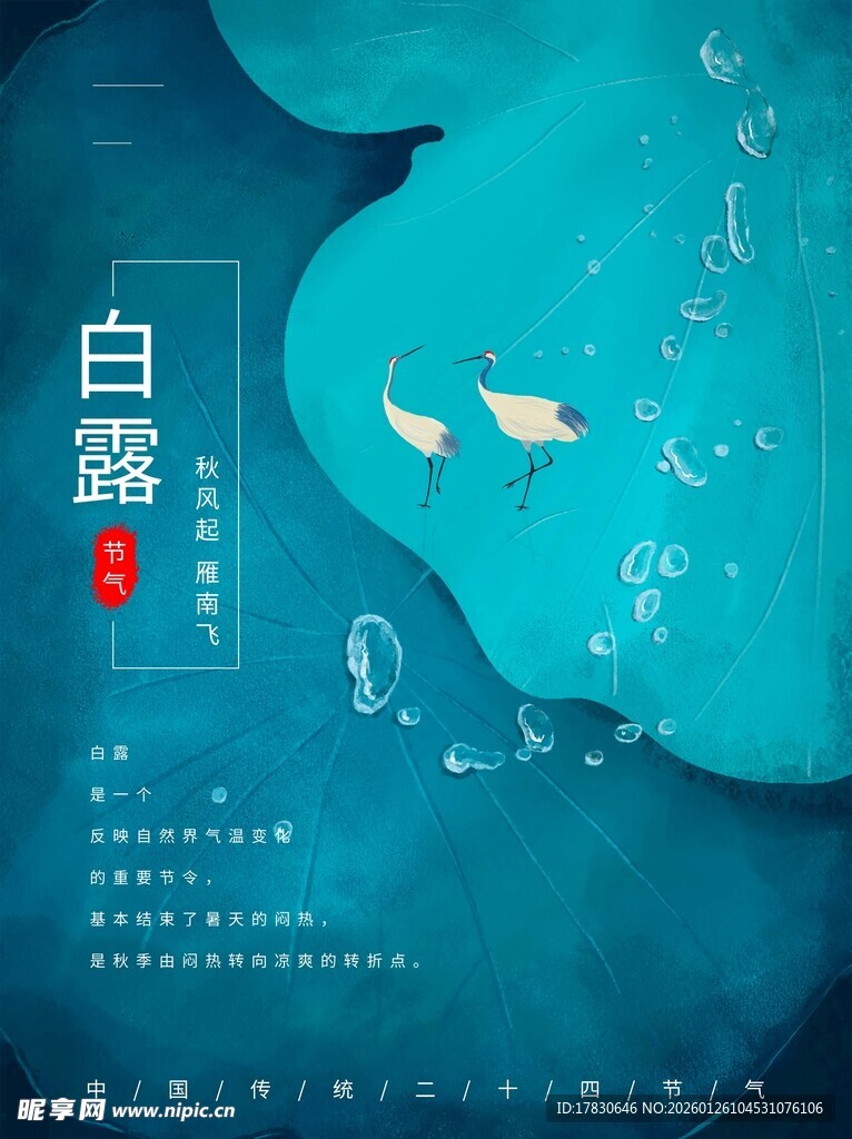 白露海报