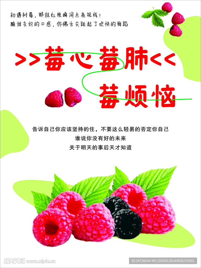 美味树莓   开启味蕾新体验