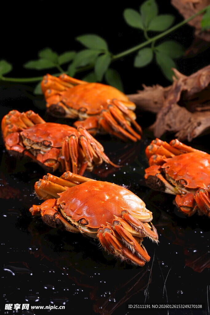 美味清蒸大闸蟹