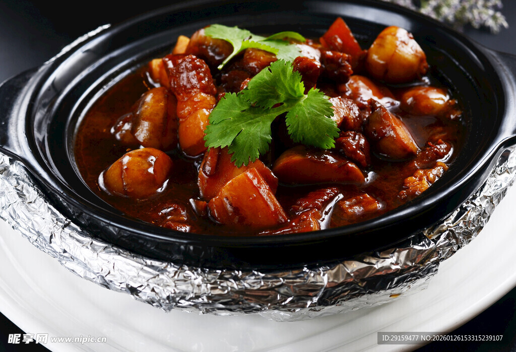 美味红烧鸡块砂锅