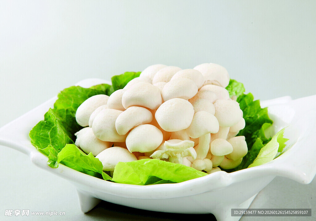 白玉菇配生菜摆盘