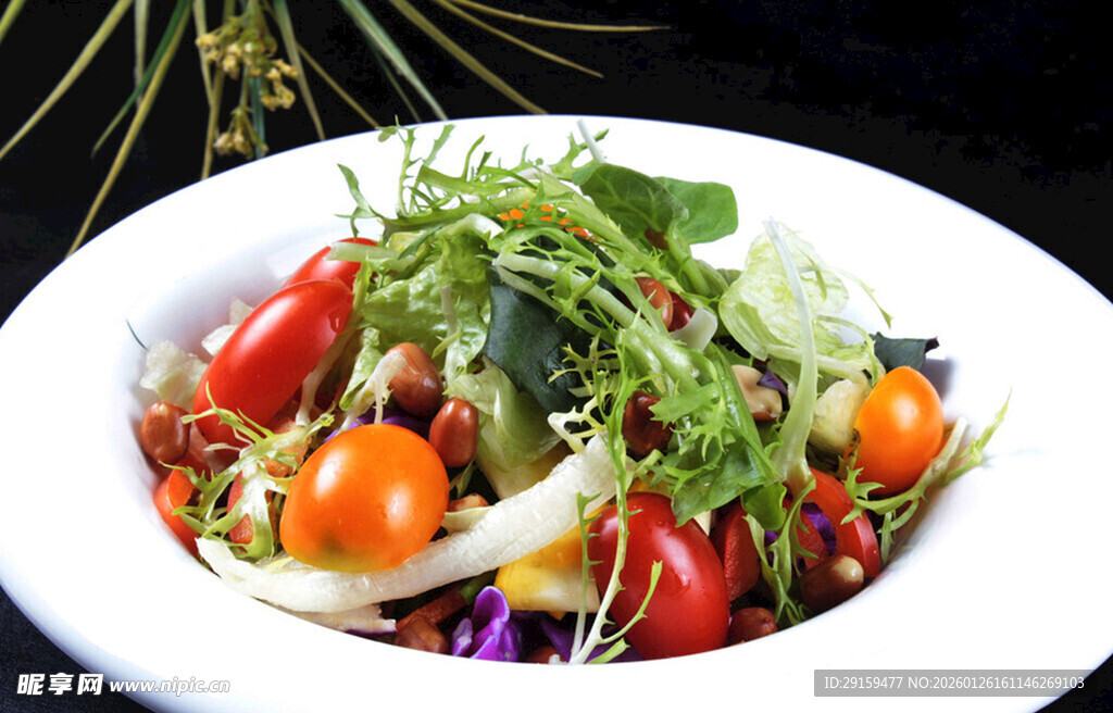 新鲜蔬菜沙拉拼盘