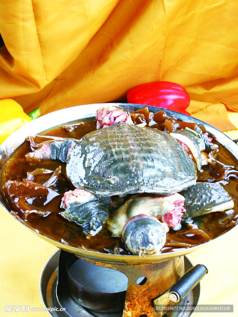 滋补甲鱼炖汤