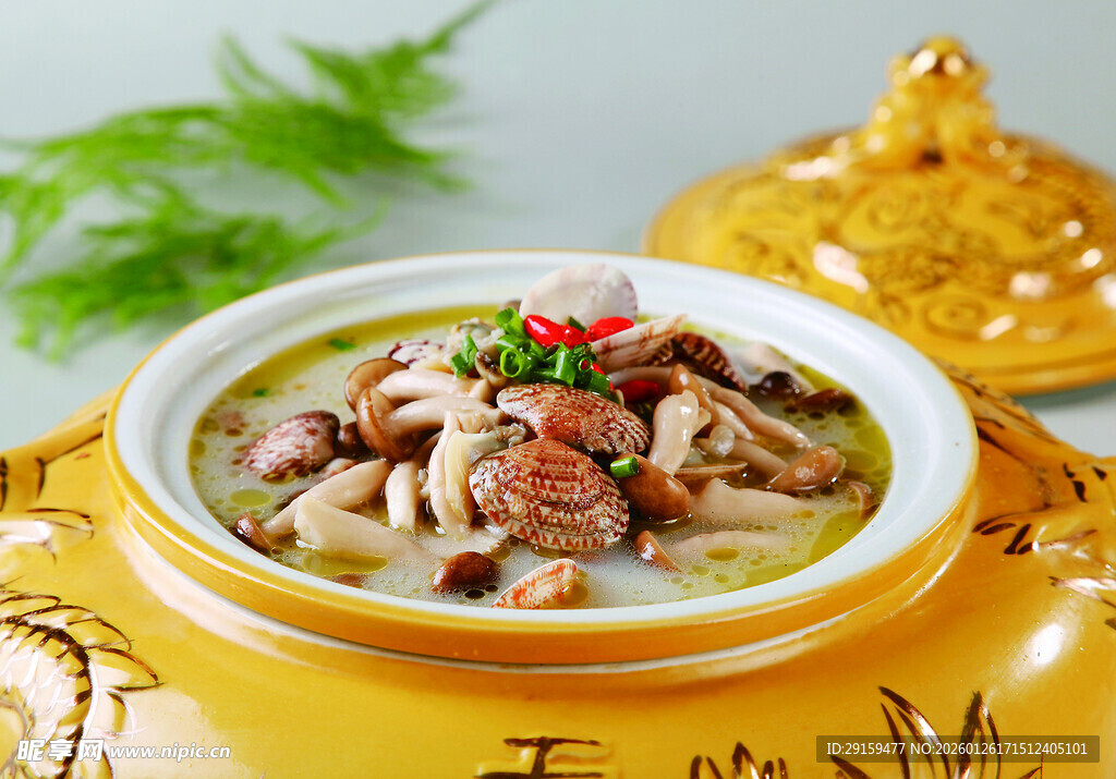 滋补菌汤炖排骨