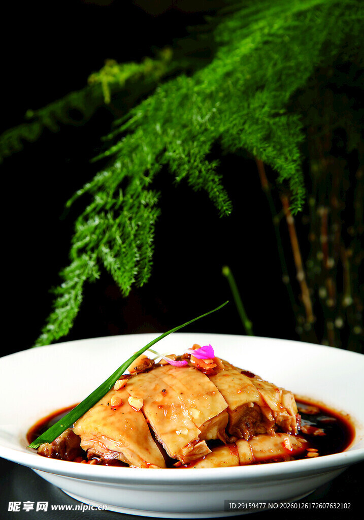 美味酱汁鸡肉摆盘精致