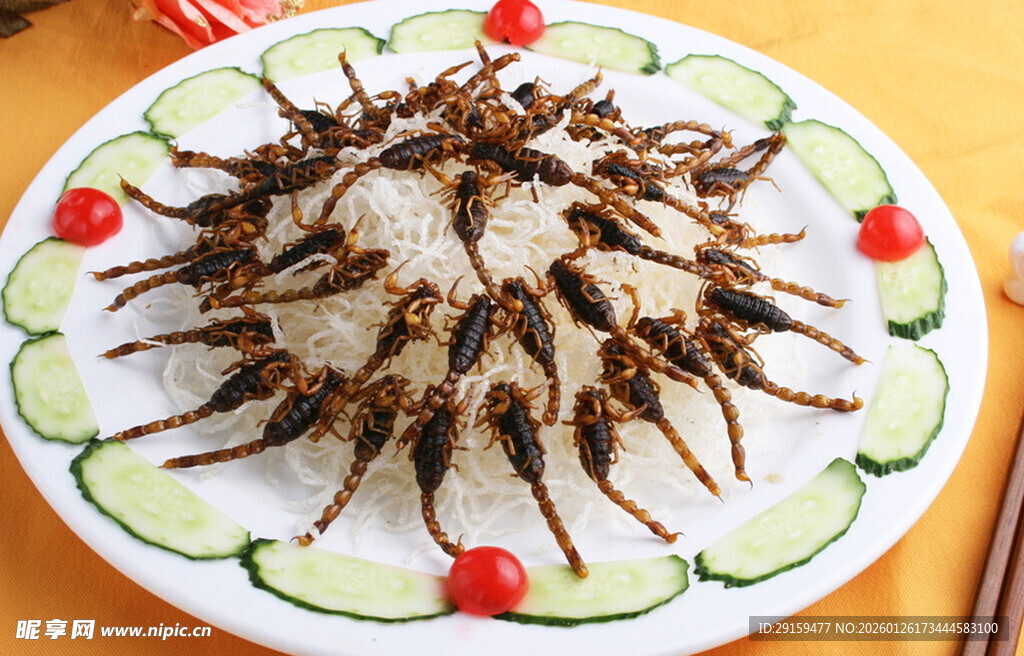 精美摆盘的特色菜肴