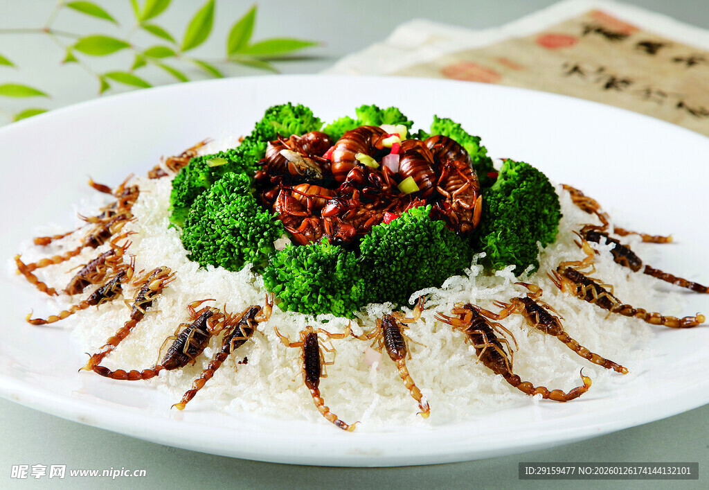 西兰花鱿鱼配米饭美食