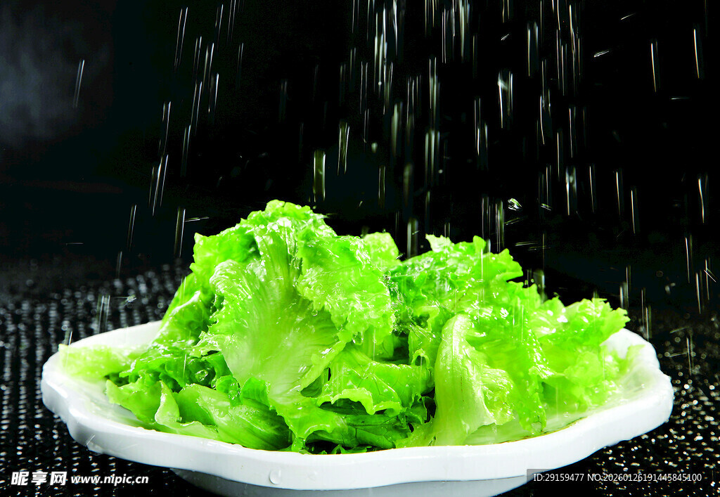 新鲜生菜在水中清洗