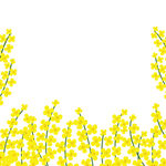 黄色油菜花小花装饰边框