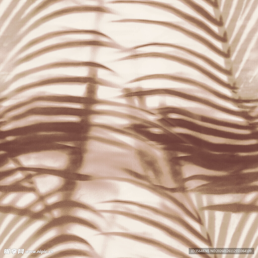棕榈叶光影纹理背景图