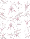 粉色花卉植物无缝图案