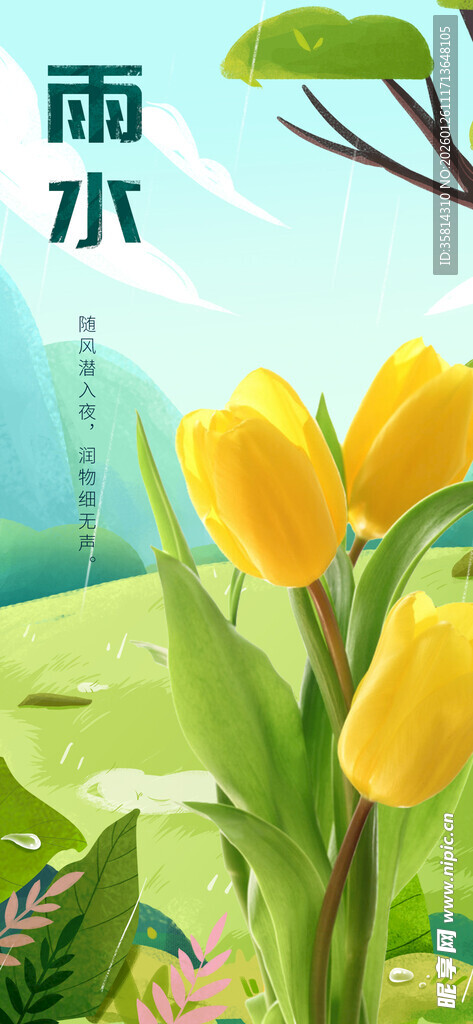 春日雨中绽放的黄色郁金香