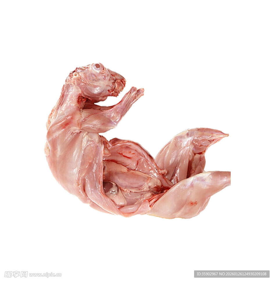 新鲜兔子兔肉特写