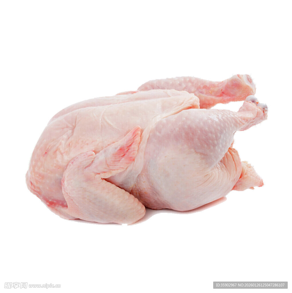 新鲜整只生鸡肉