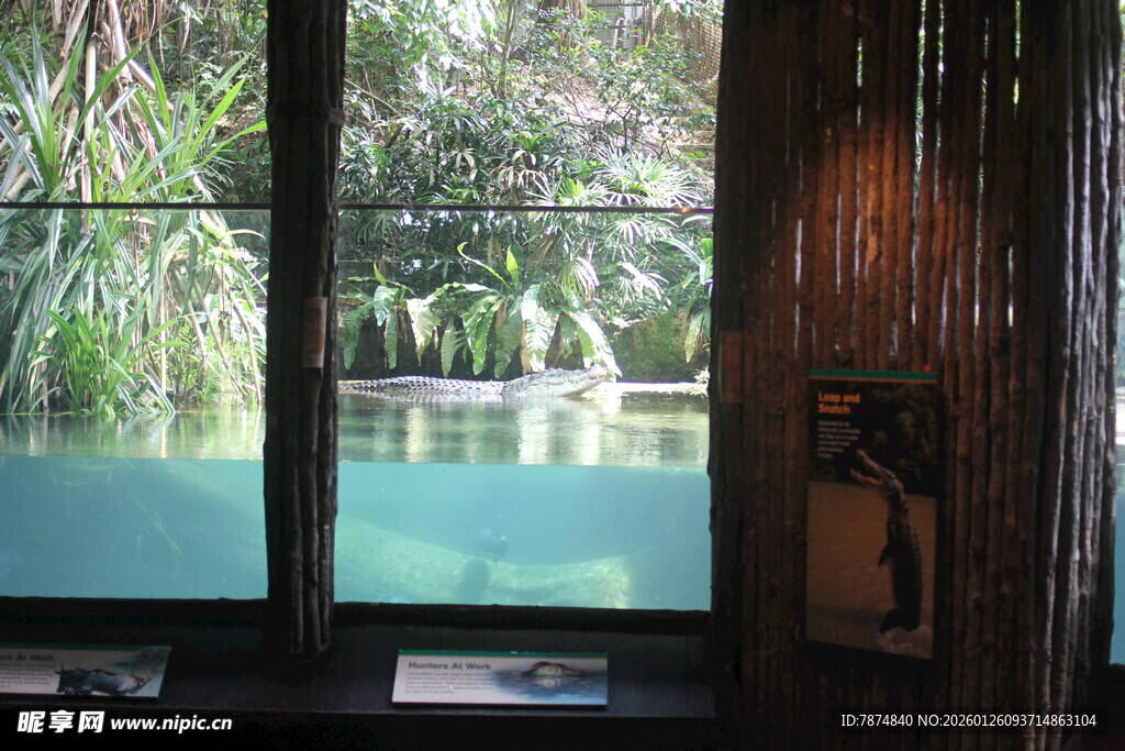 窗外绿意盎然的自然景致