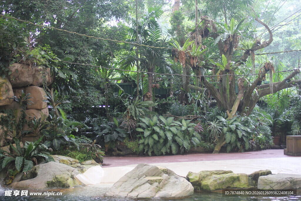 绿意盎然的自然景观庭院