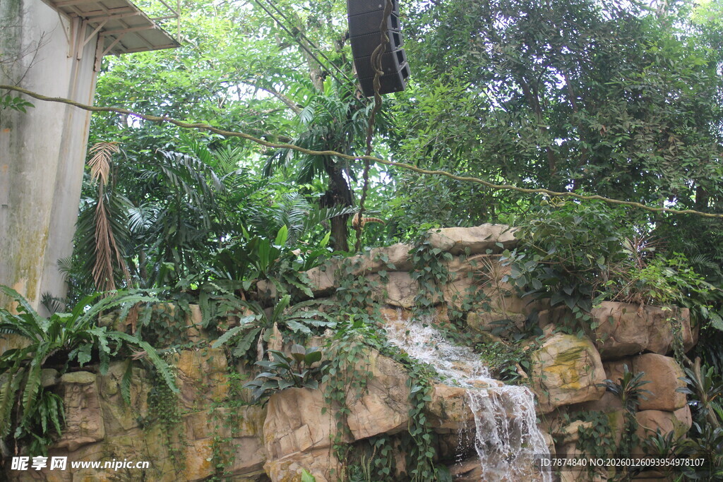 庭院中的小型瀑布景观