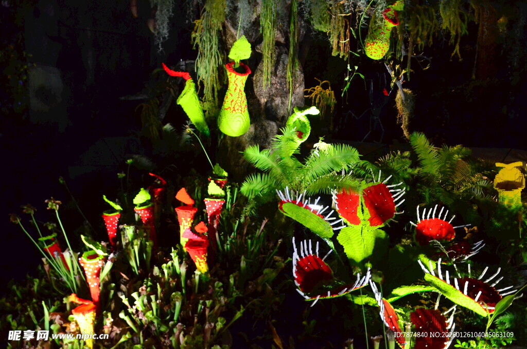 奇异多彩的食虫植物景观