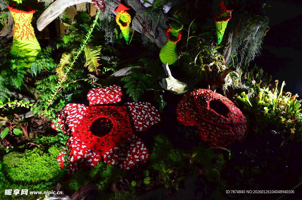 红色花朵点缀绿色植物