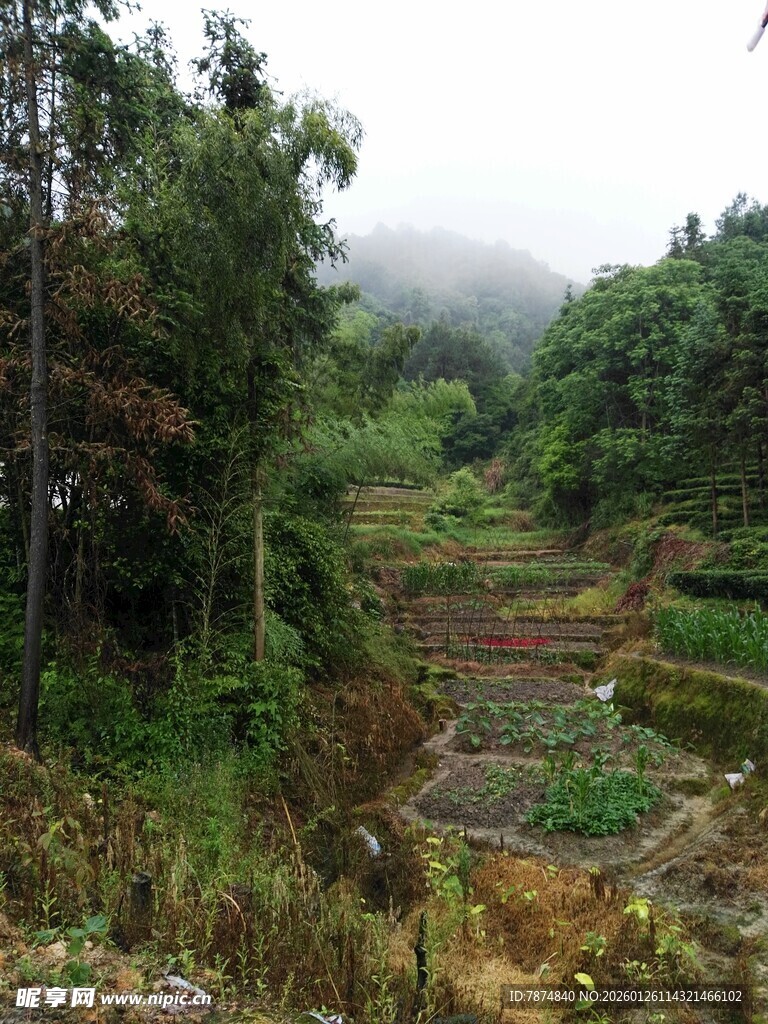山间梯田 云雾缭绕的美景