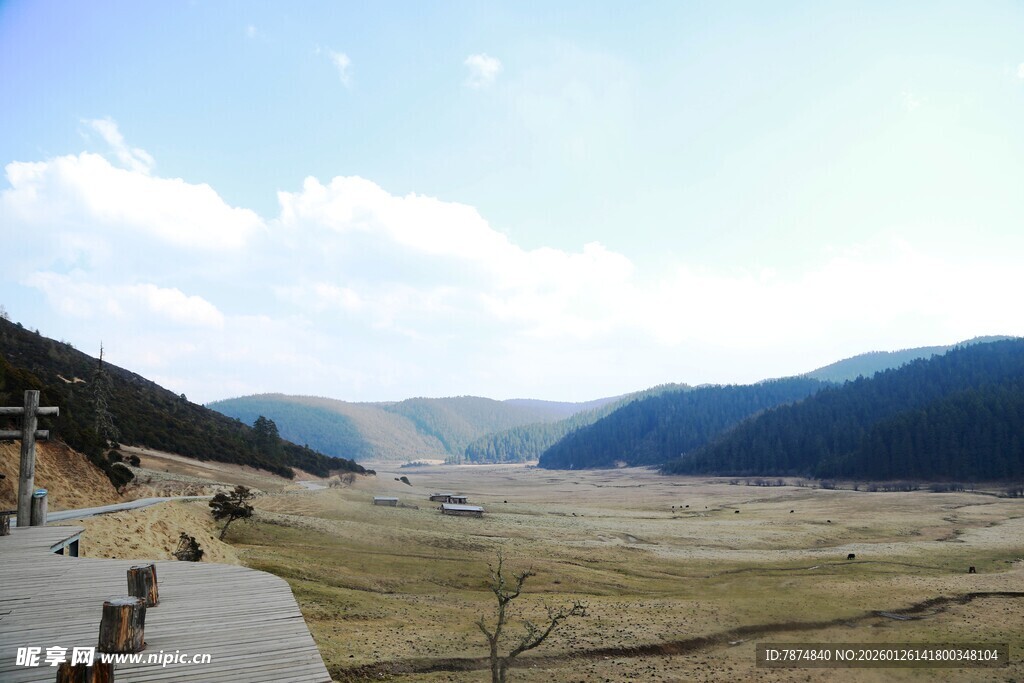 普达措森林公园