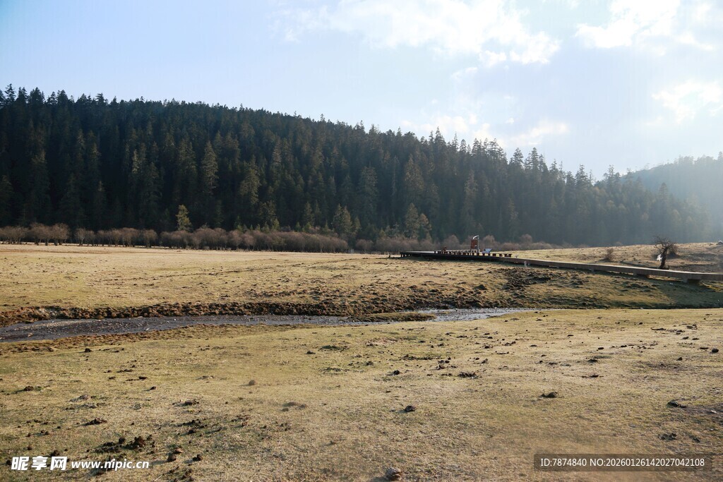 普达措森林公园