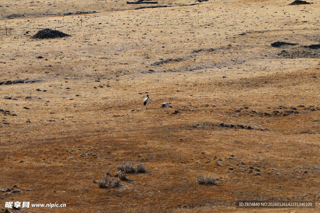 普达措森林公园