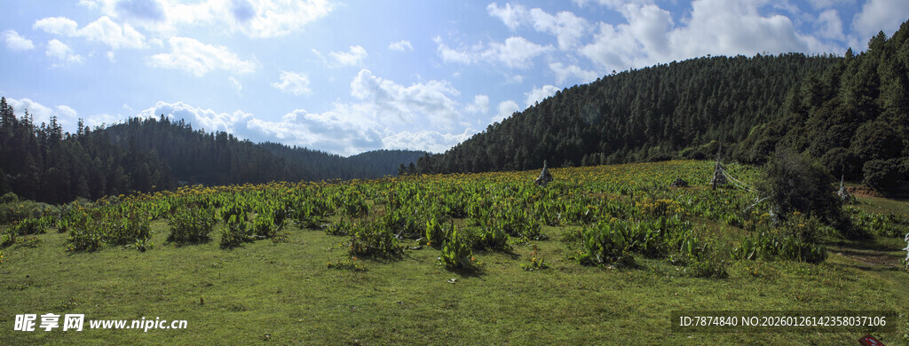 普达措国家公园全景高清