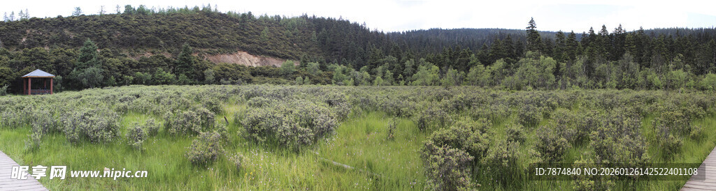 普达措国家公园全景高清