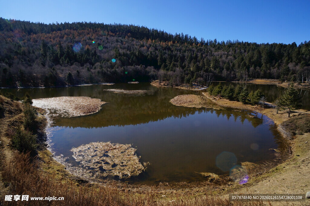 普达措森林公园