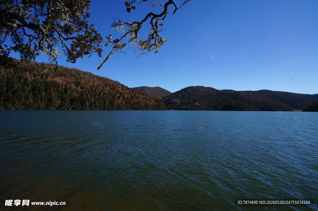 普达措森林公园