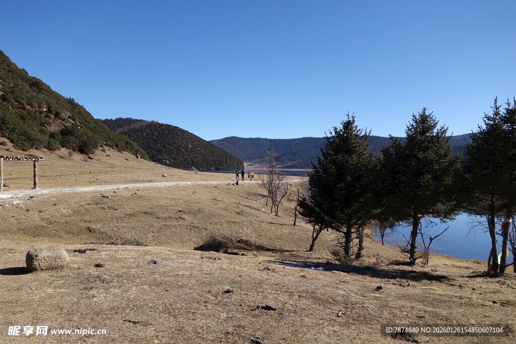 普达措森林公园