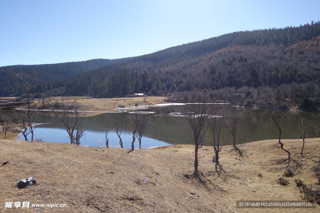 普达措森林公园