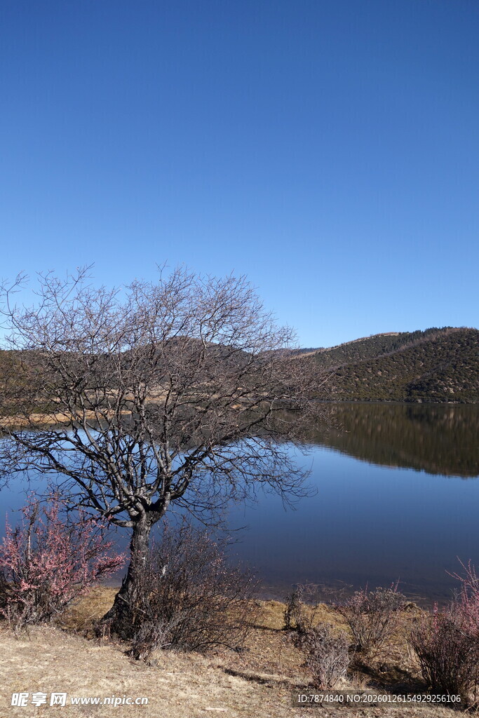 普达措森林公园