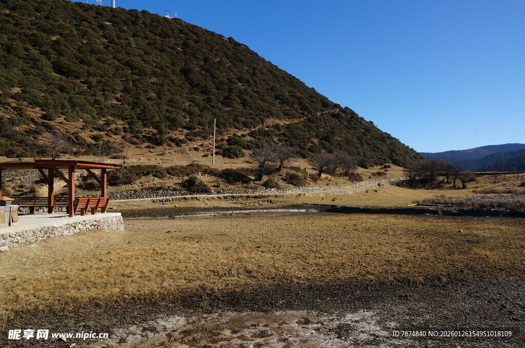 普达措森林公园