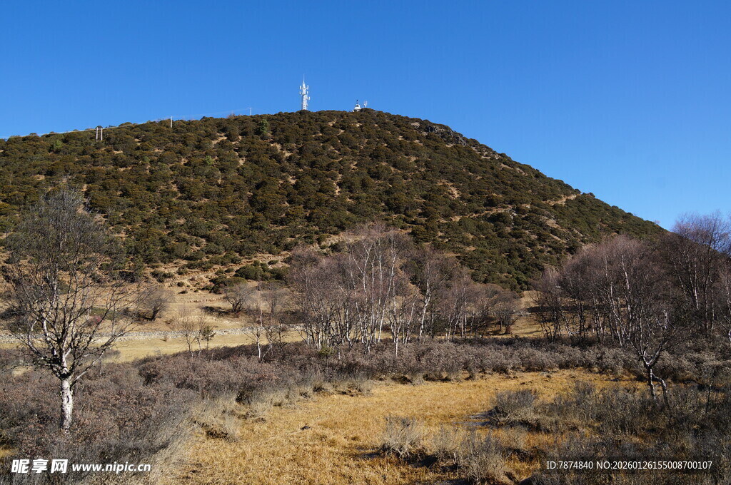 普达措森林公园