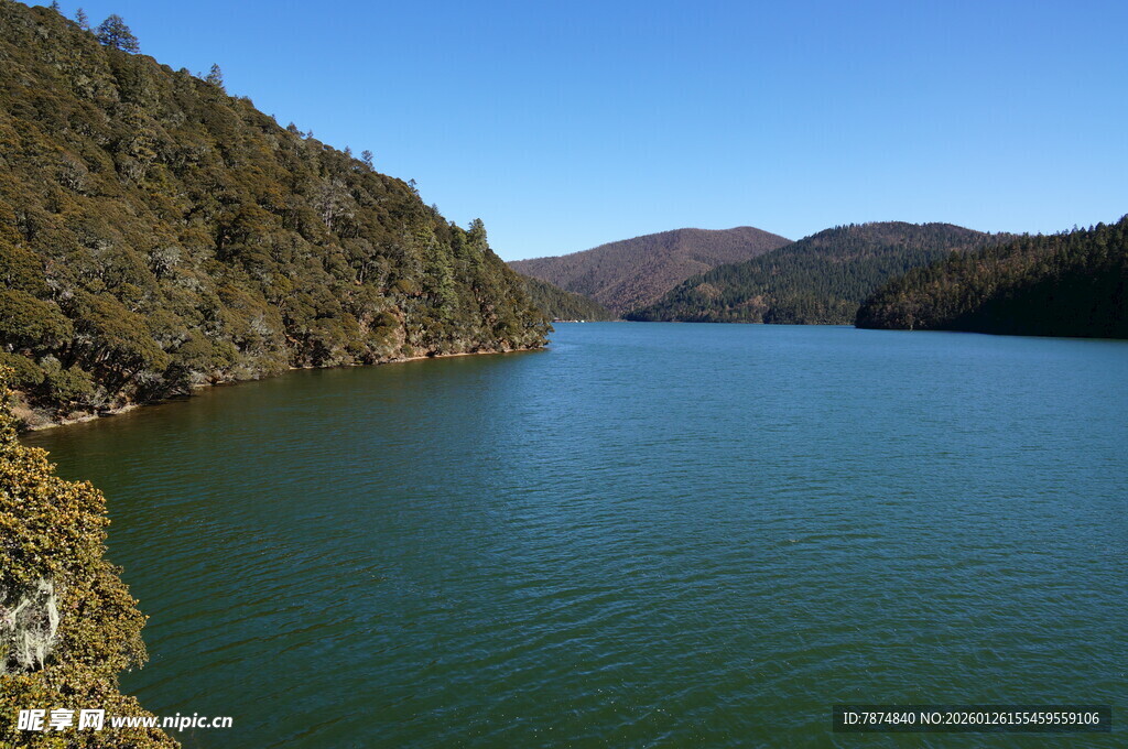 普达措森林公园