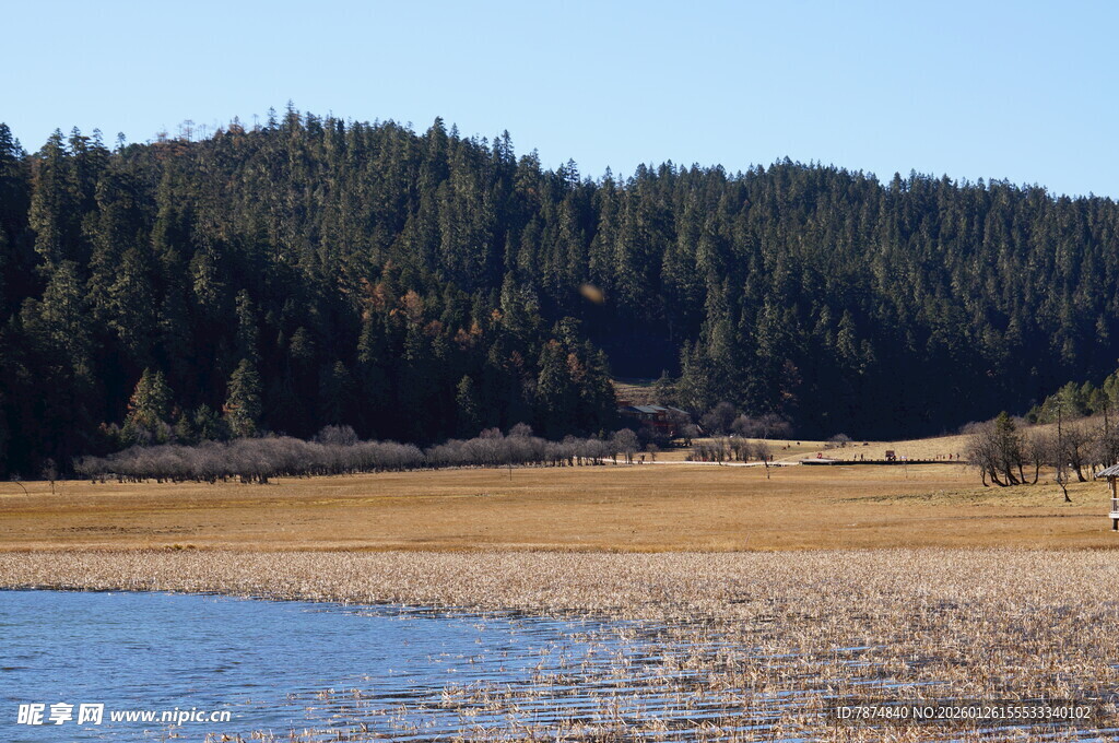 普达措森林公园