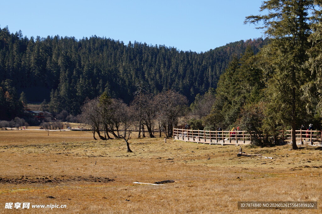 普达措森林公园