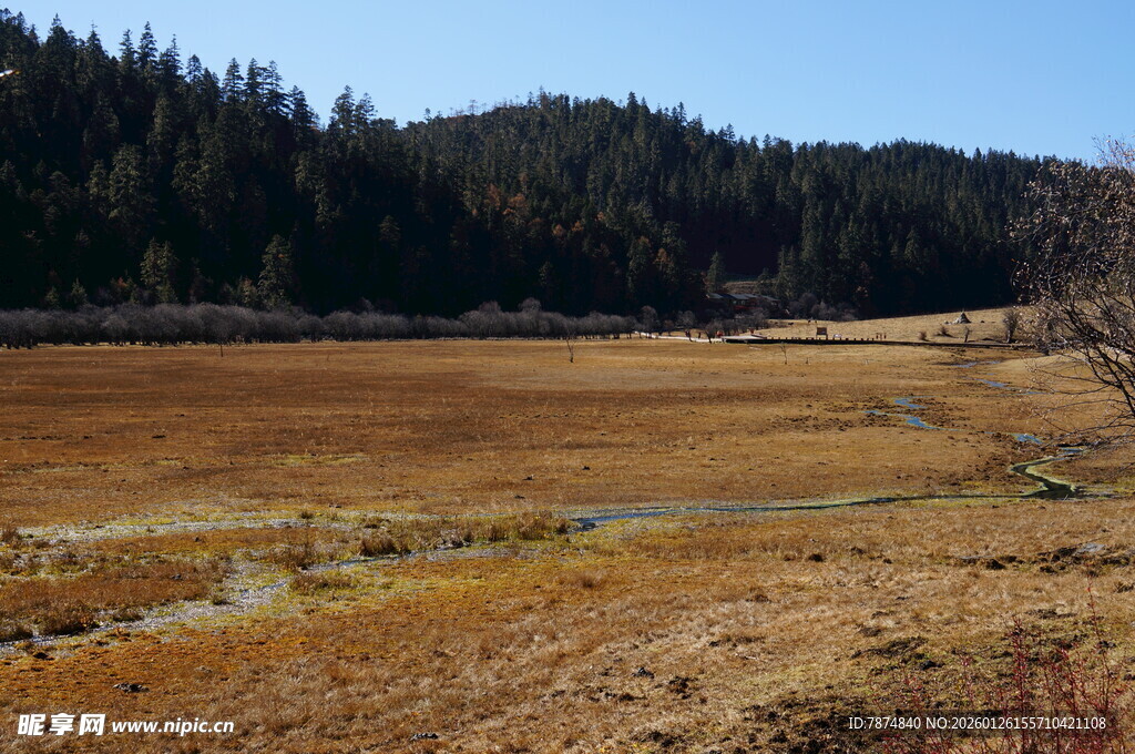 普达措森林公园
