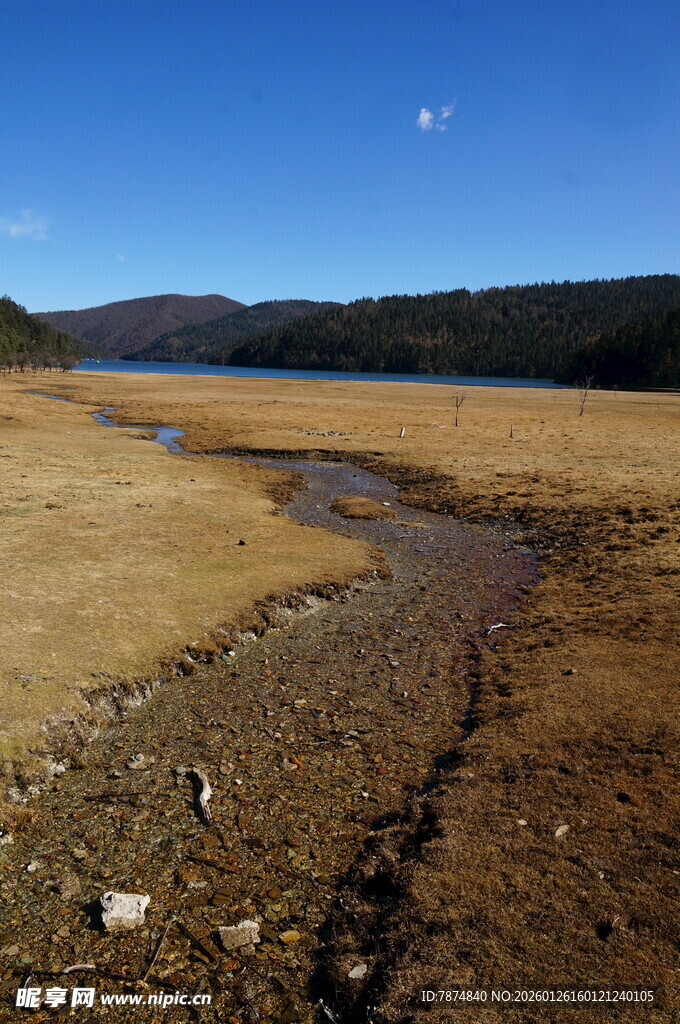普达措森林公园