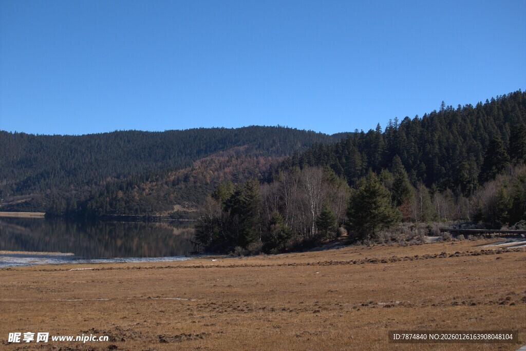 普达措森林公园