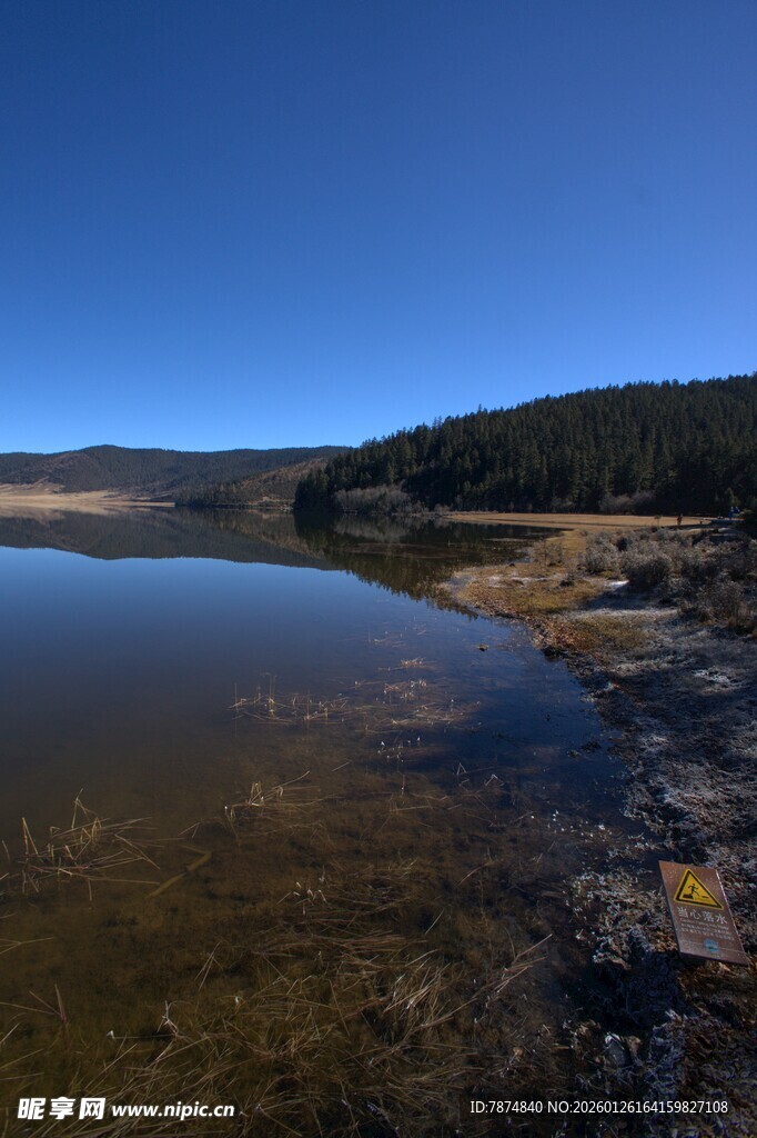 普达措森林公园