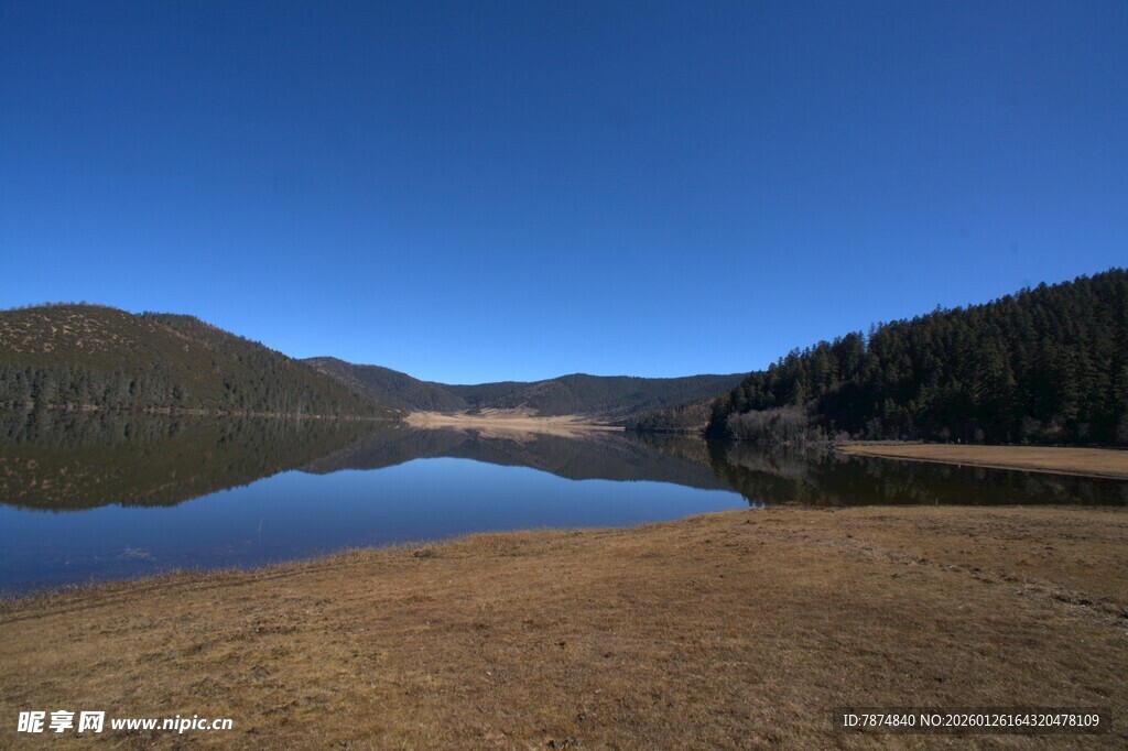 普达措森林公园