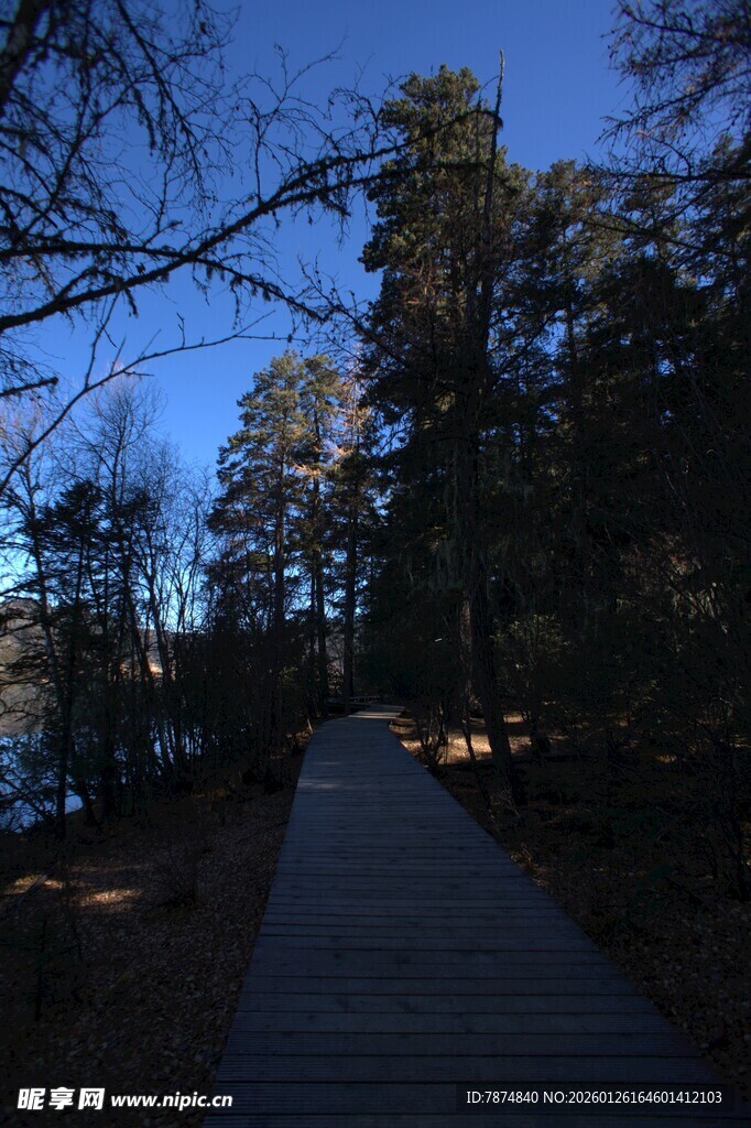 普达措森林公园