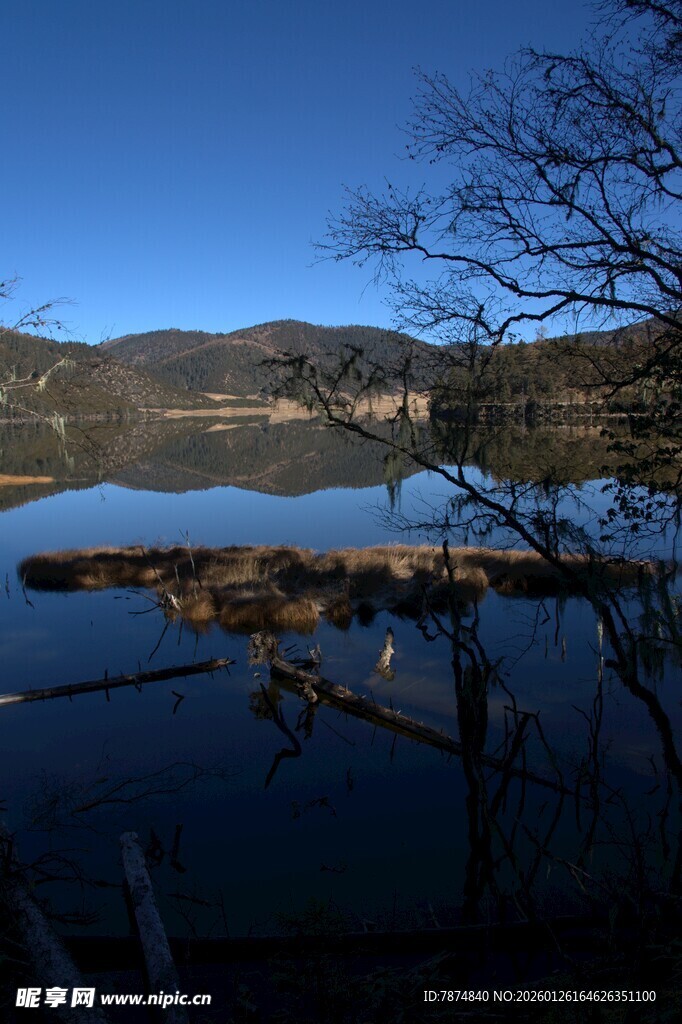 普达措森林公园