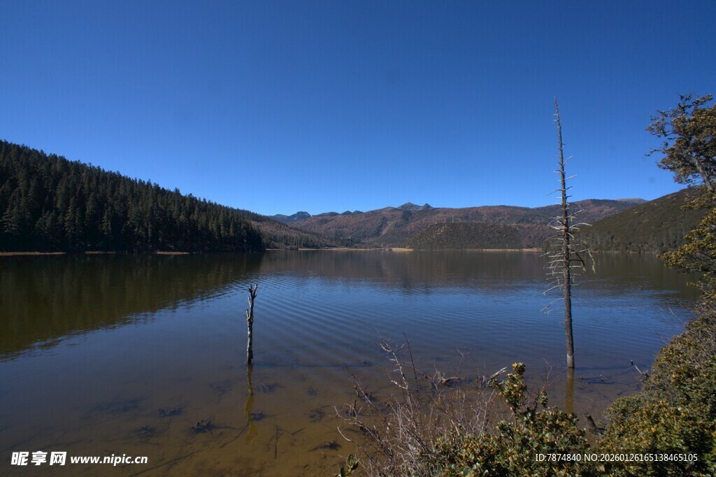 普达措森林公园