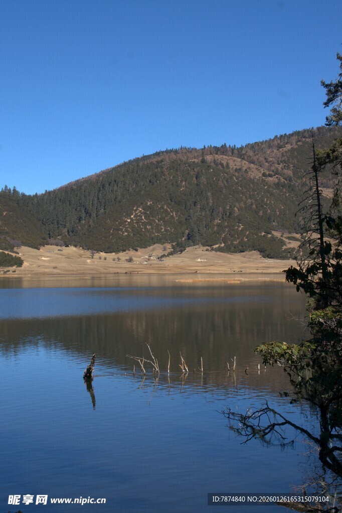 普达措森林公园