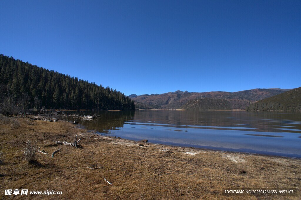 普达措森林公园